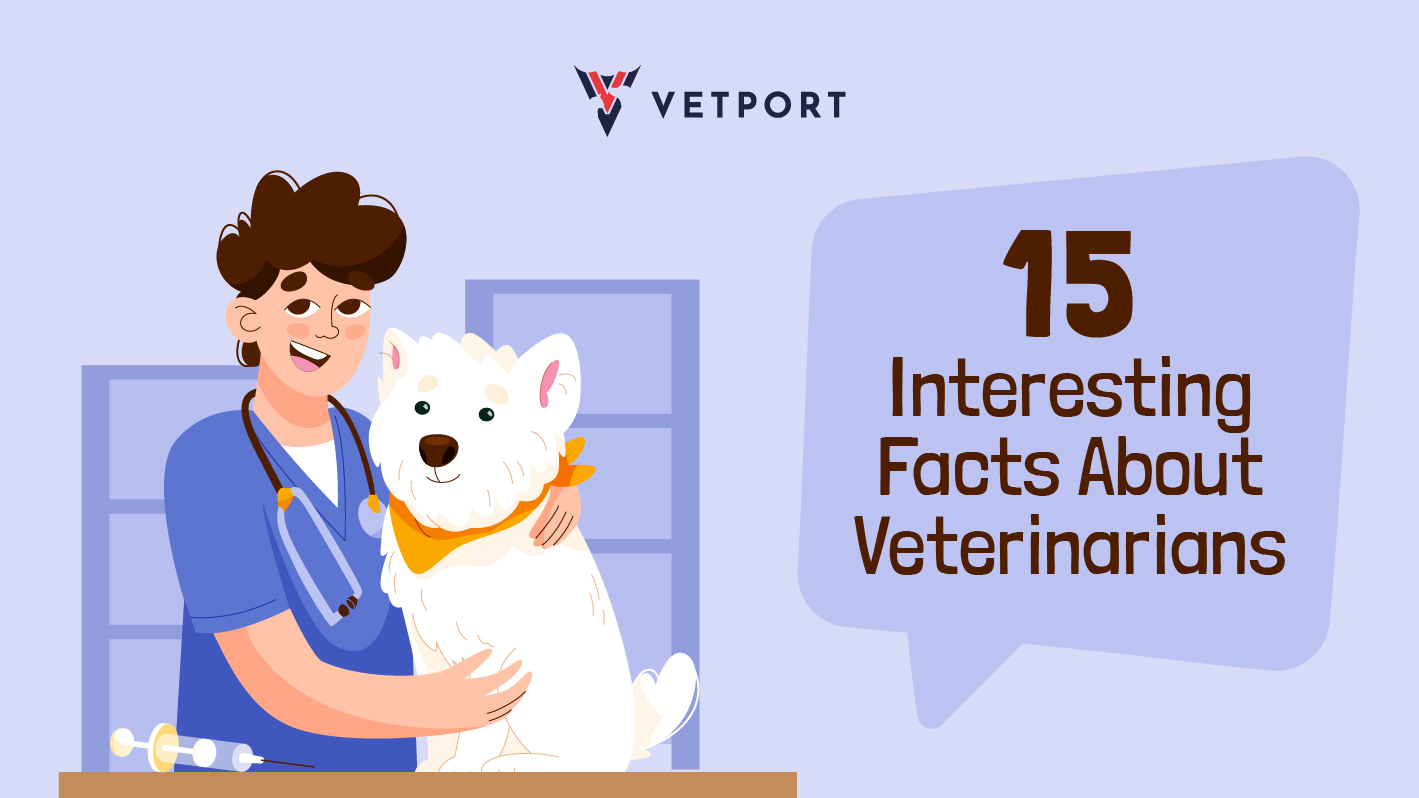 15 Interesting Facts About Veterinarians You Probably Didn't Know