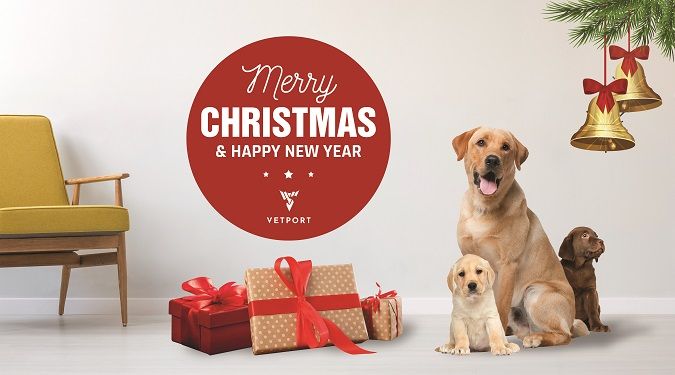 veterinary christmas card
