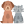Mixed Animal